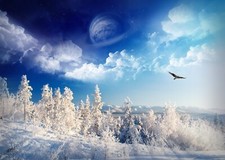 Landscape winter space art nature trees snow ice cold Custom Gaming Mat Desk