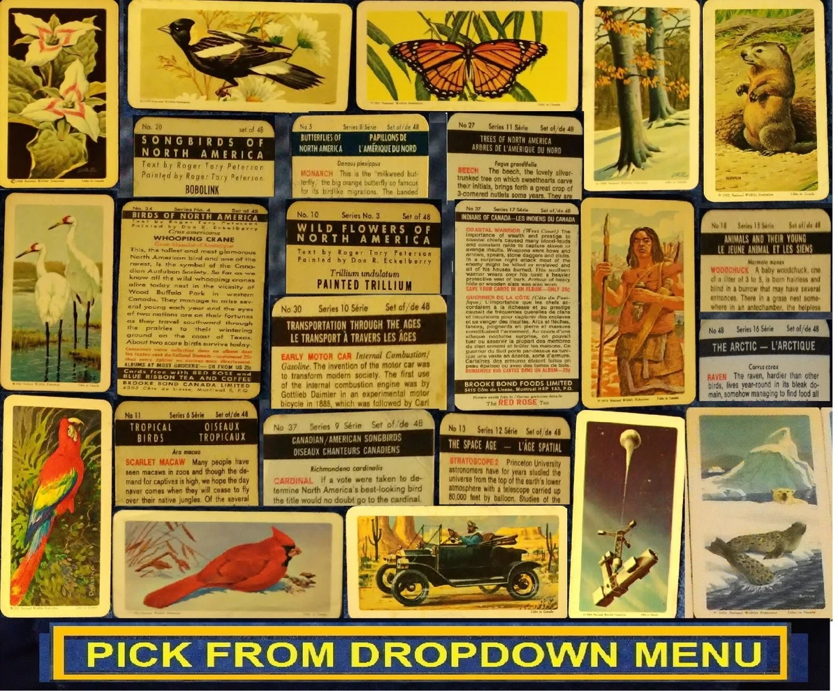 rare tea cards Brooke Bond Tea In Vintage Non-Sport Trading Cards for sale