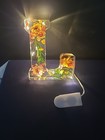 Resin Battery Operated Light Up Letter "L" with Dried Flowers  5" — photo 4