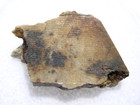 2.44 grams•DJOUA 001 METEORITE•Aubrite•Cut Fragment•COA — photo 2