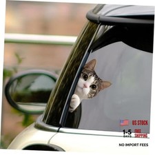 Cute Cat Car Sticker - Funny Peeking Window Bumper Vinyl Decal  Peeker