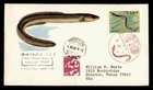 DR WHO 1966 JAPAN FDC EEL UNAGI NCC CACHET COMBO HAMAMATSU M69321