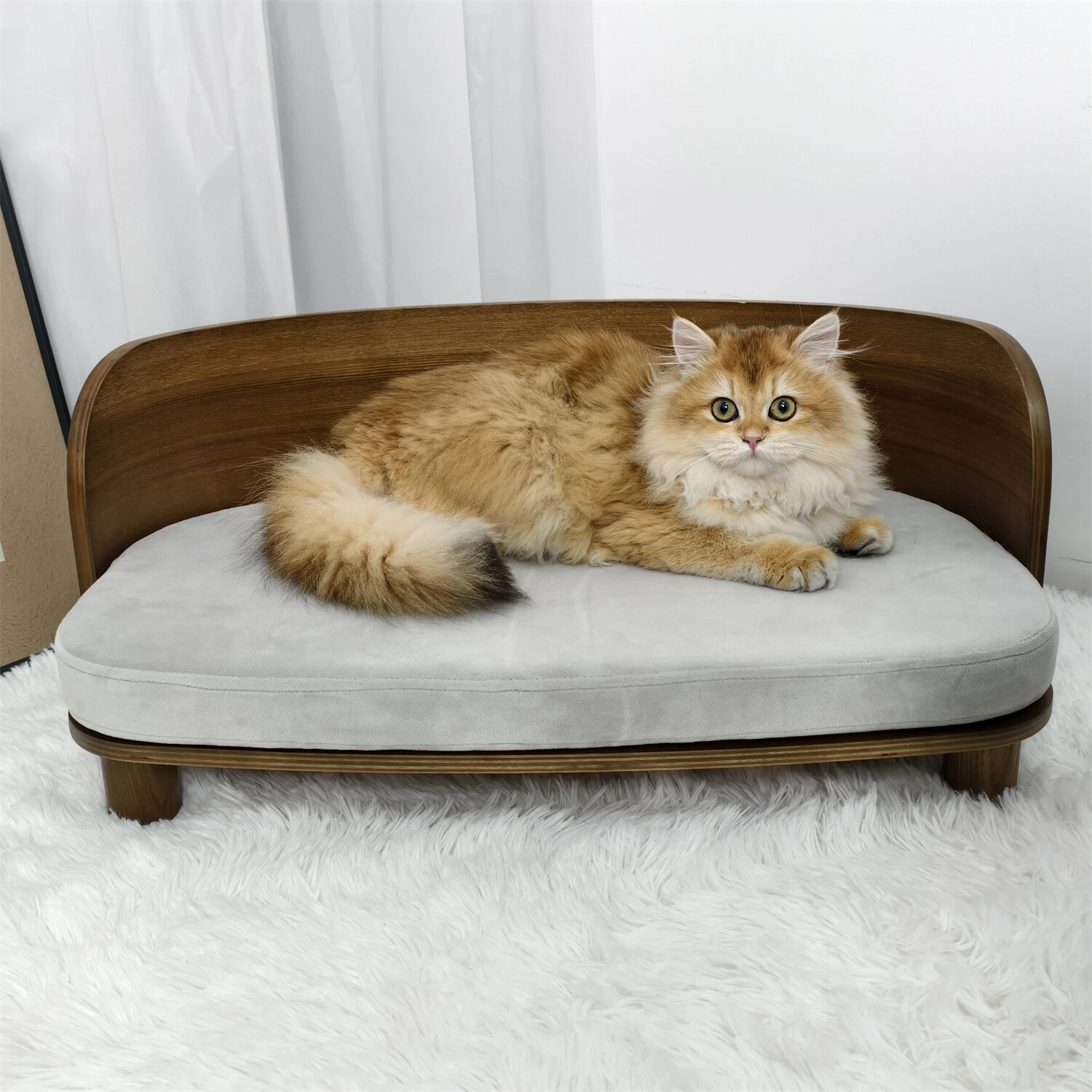Wisfor Wooden Elevated Pet Bed Pet Dog Chair with Cozy Sponge Pad Waterproof Bed