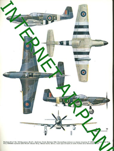 CAMOUFLAGE & MARKINGS 2 WW2 RAF NORTH AMERICAN MUSTANG ROUNDELS SCALE VIEWS - Picture 2 of 4