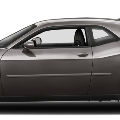 For: Dodge Challenger 2008-2023 Painted Body Side Moldings #FE-CHALL