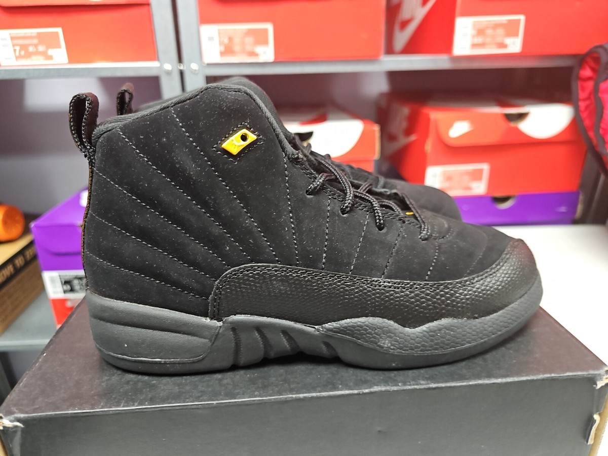 T Buy Jordan Air Jordan 12 Retro 