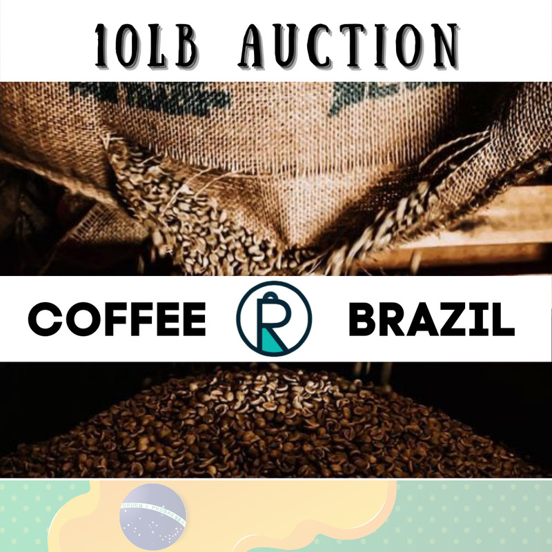 10lbs Brazil Cerrado Green Coffee Beans 17/18 (unroasted)