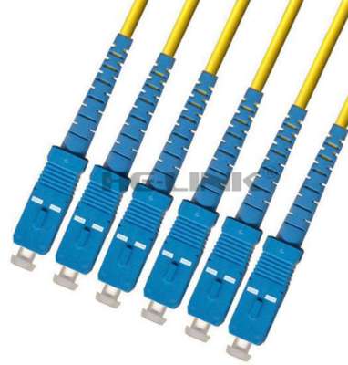 900M SC-SC Indoor Armored Singlemode 6 Strands Fiber Patch Cord Cable