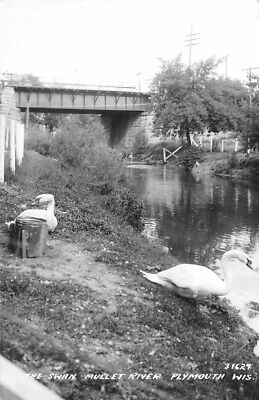 H96/ Plymouth Wisconsin RPPC Postcard c1940s Swan Mullet River Bridge 167
