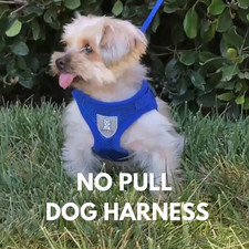 No Pull Dog Harness Reflective Adjustable Puppy Vest XS-XL Small Medium Dogs