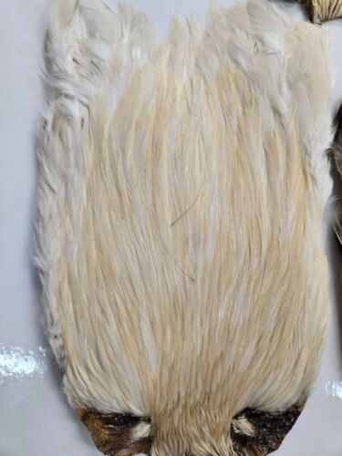 Lot of 5 Indian Cape " assorted colors " Kit#1 grade A Fly Tying Feathers - Picture 3 of 7