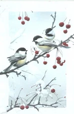 16 Embossed Boxed Christmas Cards Cheeky Chickadees Artist Joseph Hautman