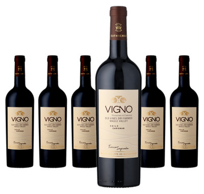 6 x Baron Philippe de Rothschild (Chile) Tierra Sagrada Vigno Carignan   2020