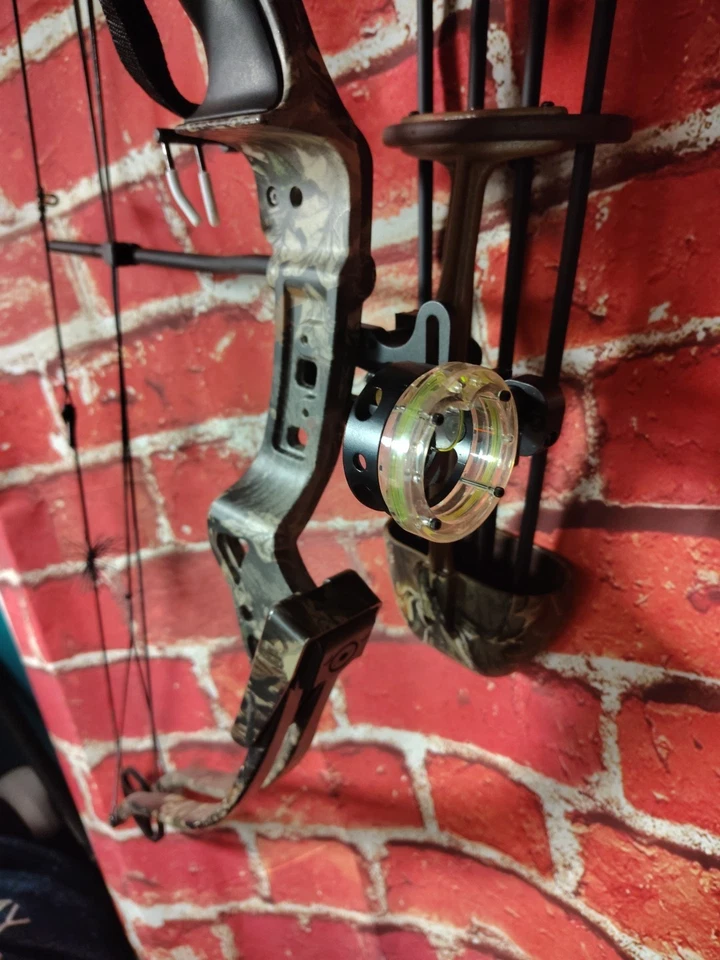 Arco compuesto Golden Eagle The Natural Litespeed 55-70 libras 31 dibujo con flechas Foto 2 de 4