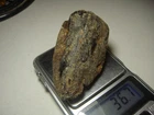 AMBER / raw baltic stones bernstein natural bursztyn baltycki genuine 琥珀 (e3405