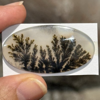 29ct 41x21.5x4.5mm Dendritic Agate Crystal Doublet Oval Cabochon Picture Stone