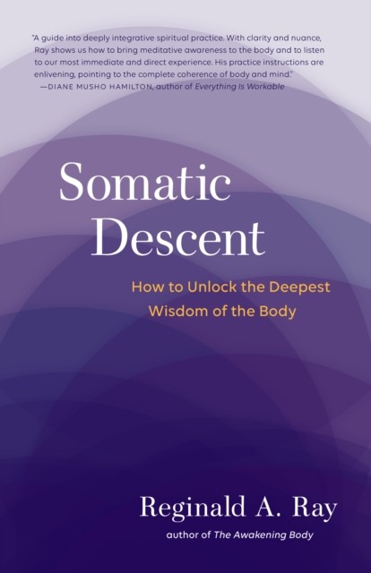Somatic Descent by Reginald Ray (Paperback Book) - Image 5