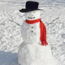 SNOWMAN IN A BOX DECORATING KIT