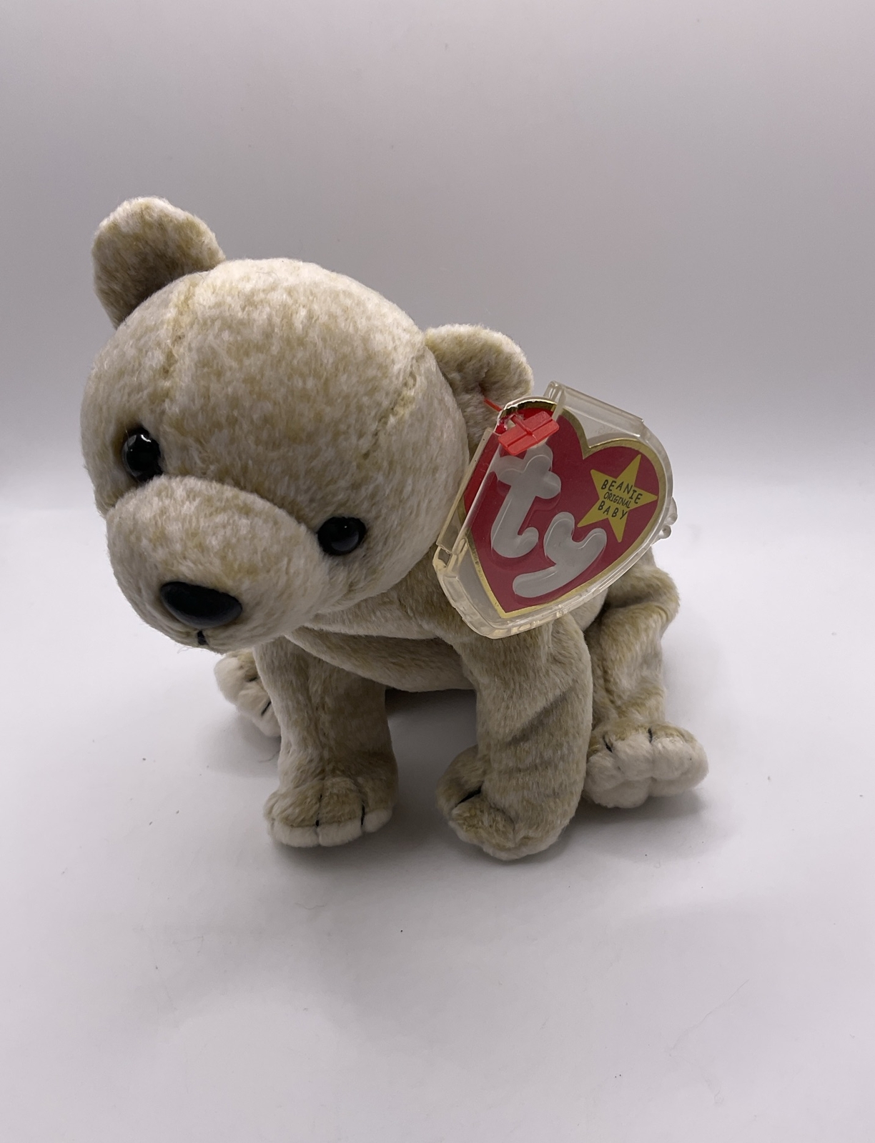 TY Beanie Babies Almond the Bear With Tag In Plastic Protector