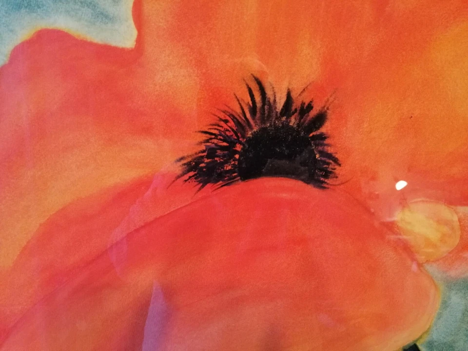   Kunstzentrum Veith  Mohnblume Mohn Blume Orange Wandbild Kunstdruck Bild 56x56 - Bild 4 von 4