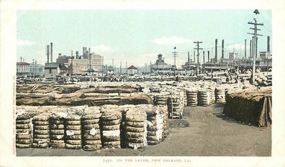 c1905 New Orleans Louisiana On the Levee undivided #7450 Postcard 25-12210