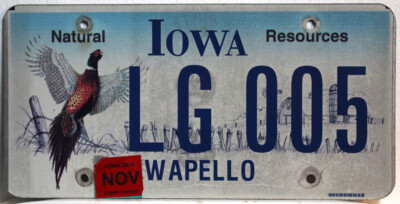 Iowa Nummernschild USA Kennzeichen / Fasan Motiv US License Plate LG Autoschild
