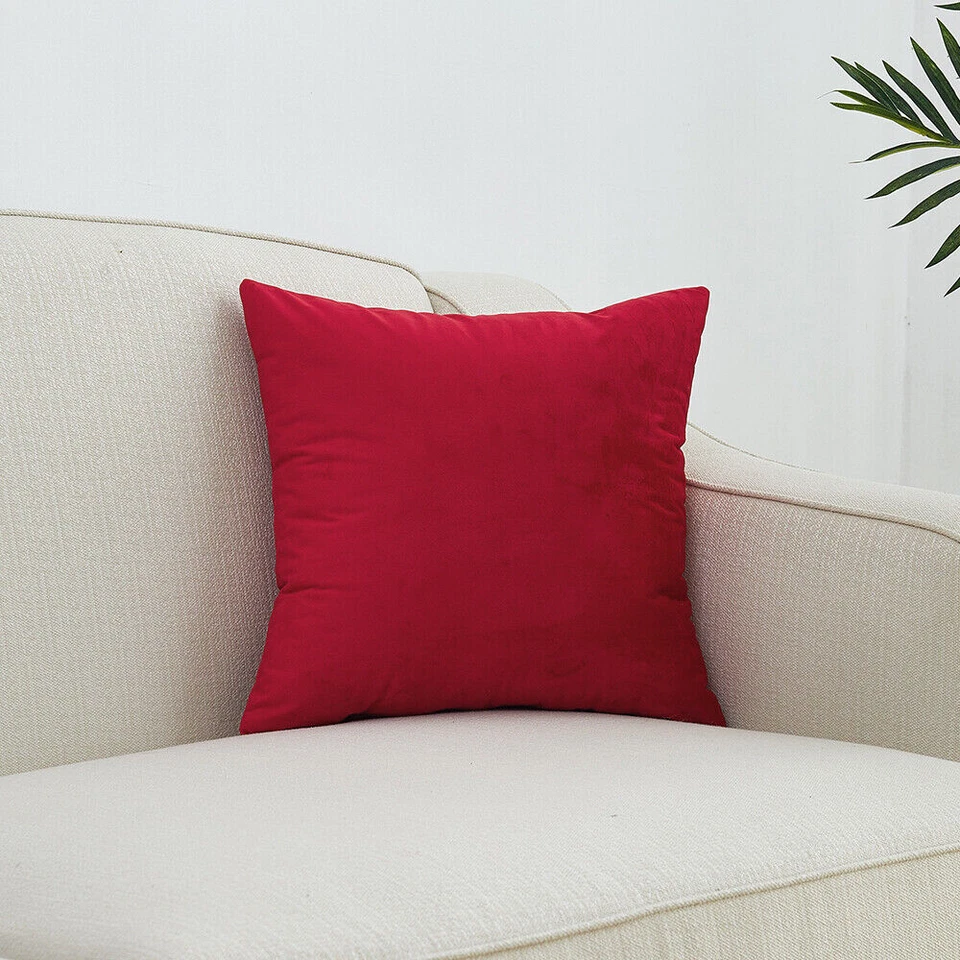 Velvet Cushion on Sofa
