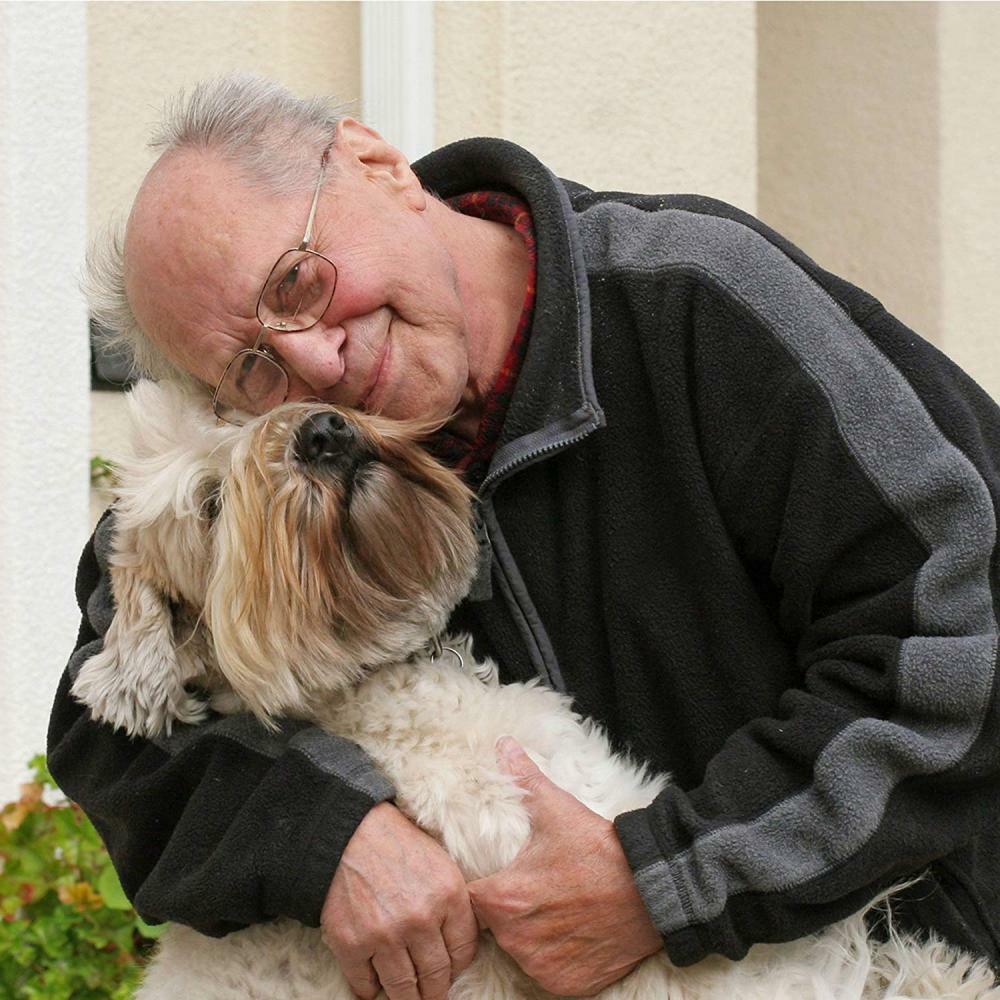 naturasil dog wart remover uk