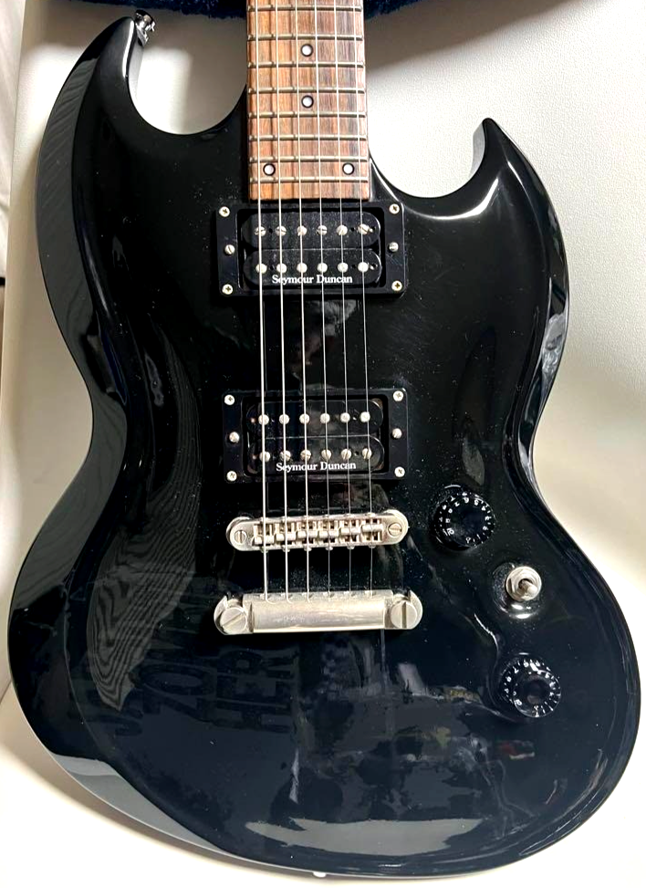 EDWARDS E-K-130VP DIR EN GREY Kaoru Model Black JAPANESE ZOMBIE