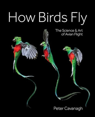 How Birds Fly: The Science  and Art of Avian Flight - Hardback NEW Cavanagh, Pet