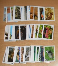 ED. COOP SERIE FIGURINE  WWF  ANIMALI  1/180 - 9  DA BUSTINA ORIGINALE !!!!!