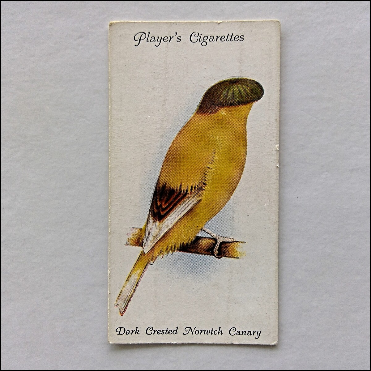 canaries cigarettes John Player Aviary & Cage Birds 2 Dark Crested Canary Cigarette Card (CC11)