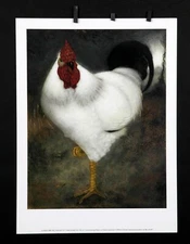 Jan Mankes - White Rooster, 1917  -Witte Haan - 2007 - Offset Poster