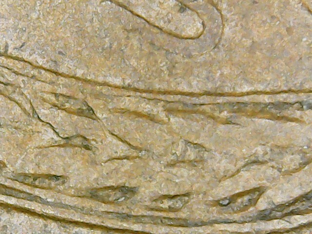 1950-D Die Chip Rev.