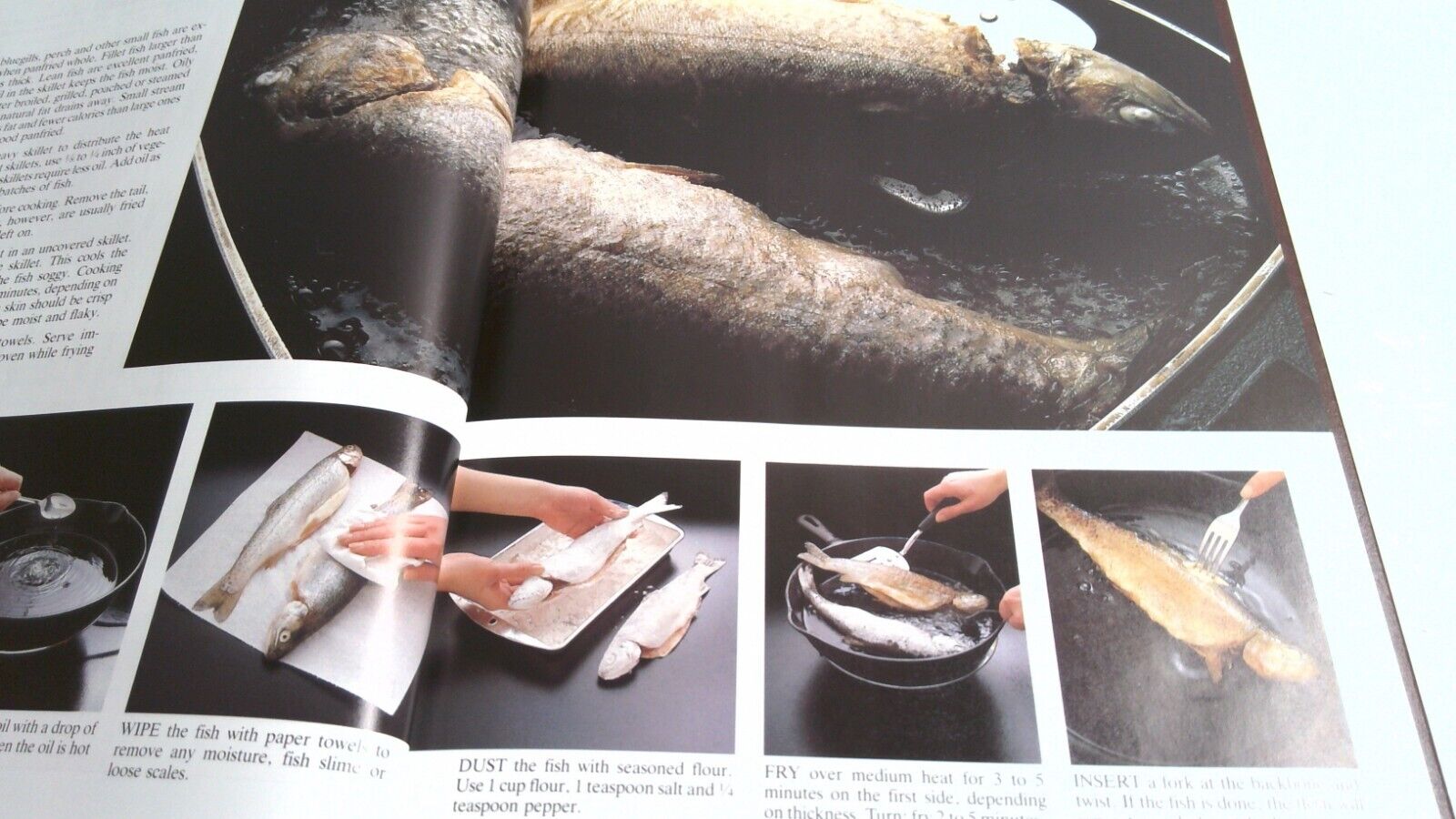 Imagen 5 de 7