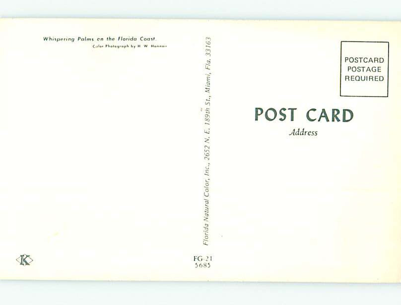 Unused Pre1980 PALM TREES ON FLORIDA COAST Published In Miami Florida