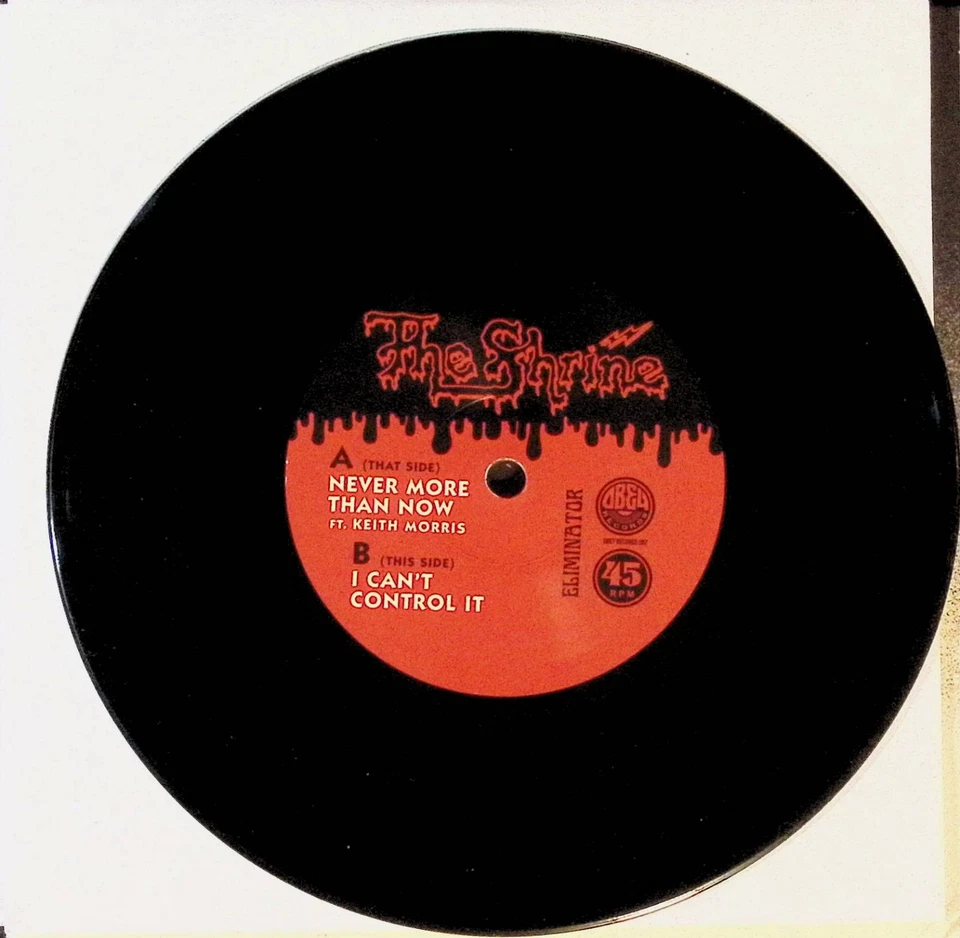 SIGNED Shepard Fairey The Shrine Never More Than Now Eliminator PS Insert NM Foto 3 de 4