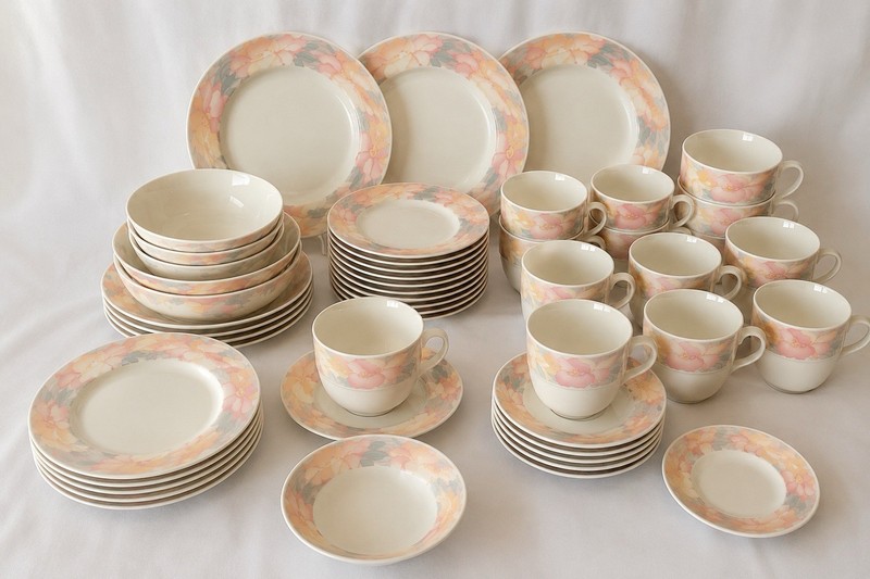 Sara China Pearl Artland Collection Pattern 9030 60 Piece Dinnerware Set
