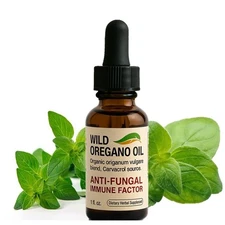 Wild Oregano Oil – Organic Origanum Vulgare Blend Carvacrol | Natural Immune