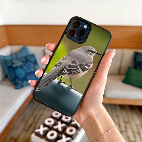 Northern Mockingbird America For iPhone SE XS XR Max 5 6 7 8 Plus Anti collision - Picture 17 of 25