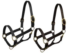 Cob Size Leather Halter w/ Brass Hardware