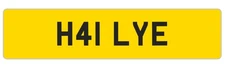 Hayley Number Plate Haley Hailey Haylee H41 LYE DVLA Rare Xmas Gift Investment