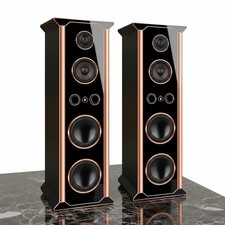 1 Paar hochwertige High End Hi-Fi Standlautsp...