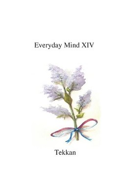 Tekkan Everyday Mind XIV (Taschenbuch) Everyday Mind