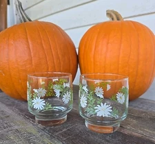 Set of 2 Vintage 1970s Libbey DAISEY 8oz Juice Rocks Glasses Tumblers 🌼