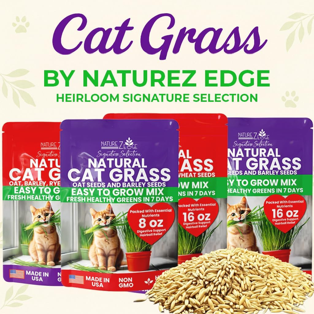 Cat Grass Seeds & Catnip Seeds - 3 Pack Variety Kit, Cat Grass for Indoor Cats, 