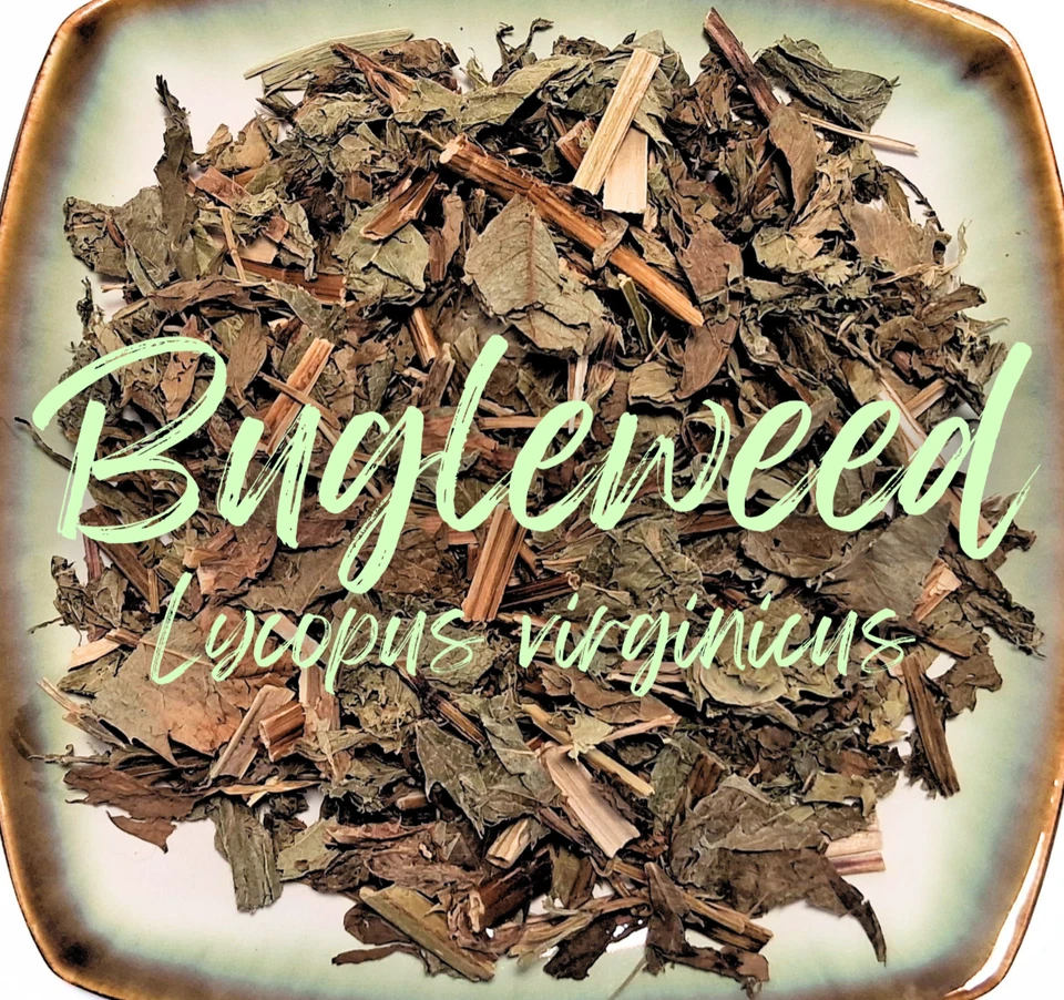 Bugleweed - Dried Herb Leaf Lycopus virginicus - Organic Apothecary Tea 0.5-4 oz - Image 2 of 4