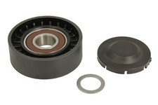 Tendeur de courroie nervures multiples pour FORD FOCUS II, VOLVO C30, C70 II