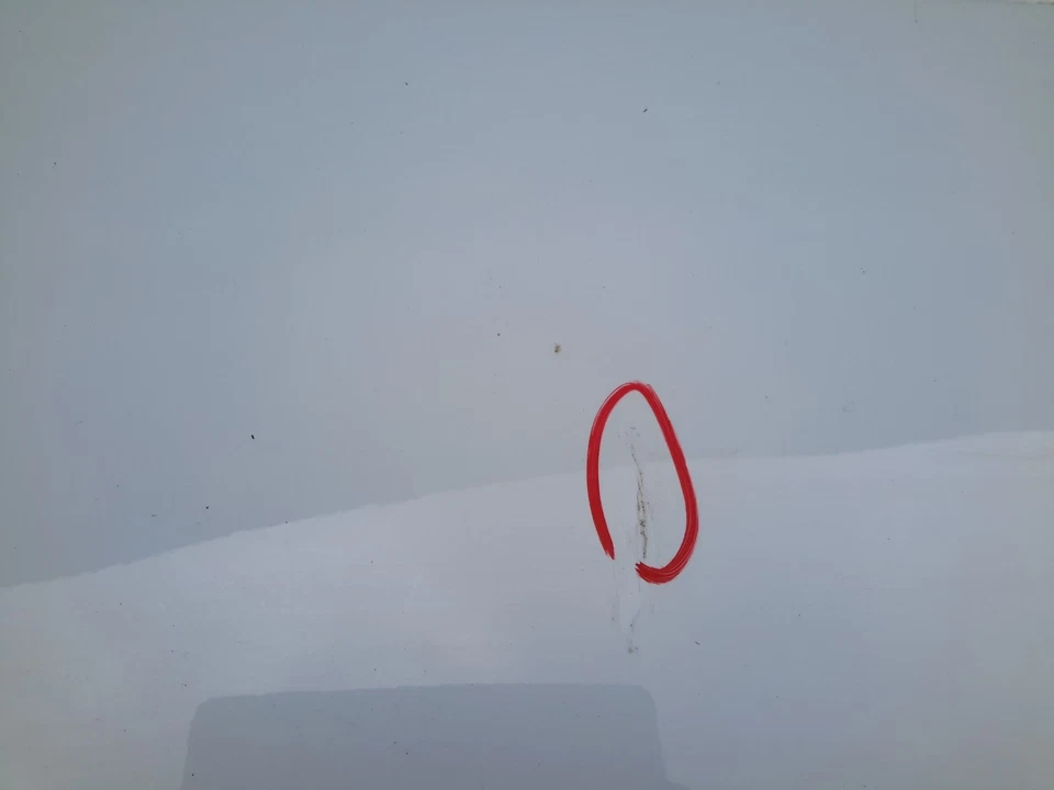 2008-2014 Smart Fortwo Door Panel Exterior Skin White Front Right Passenger Foto 2 de 4