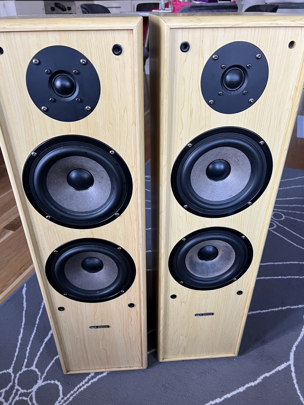Pair of Acoustic Solutions AV 120 Floor Standing Stereo Speakers eBay